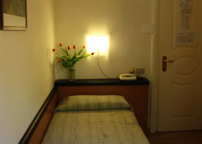 Nuova 3* Grosseto